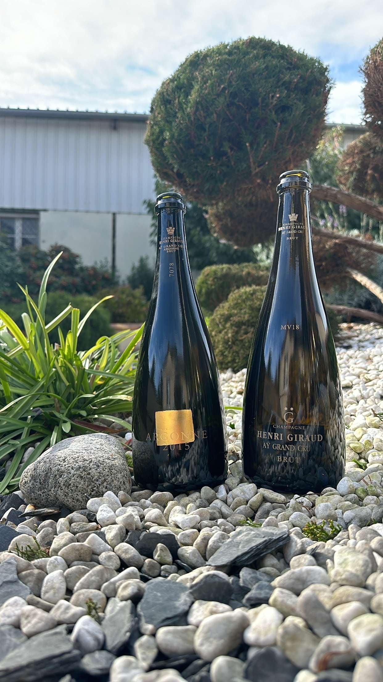 Henri Giraud frames “Argonne 2015” / “MV 18”