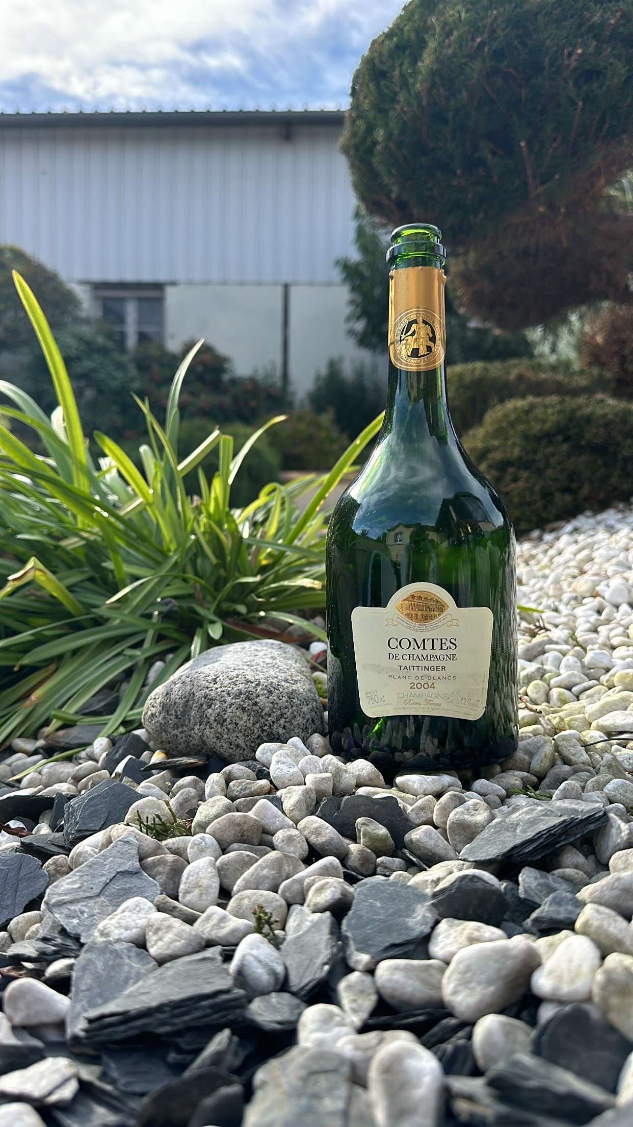 Cadre Tattinger " Comtes de Champagne 2004 "