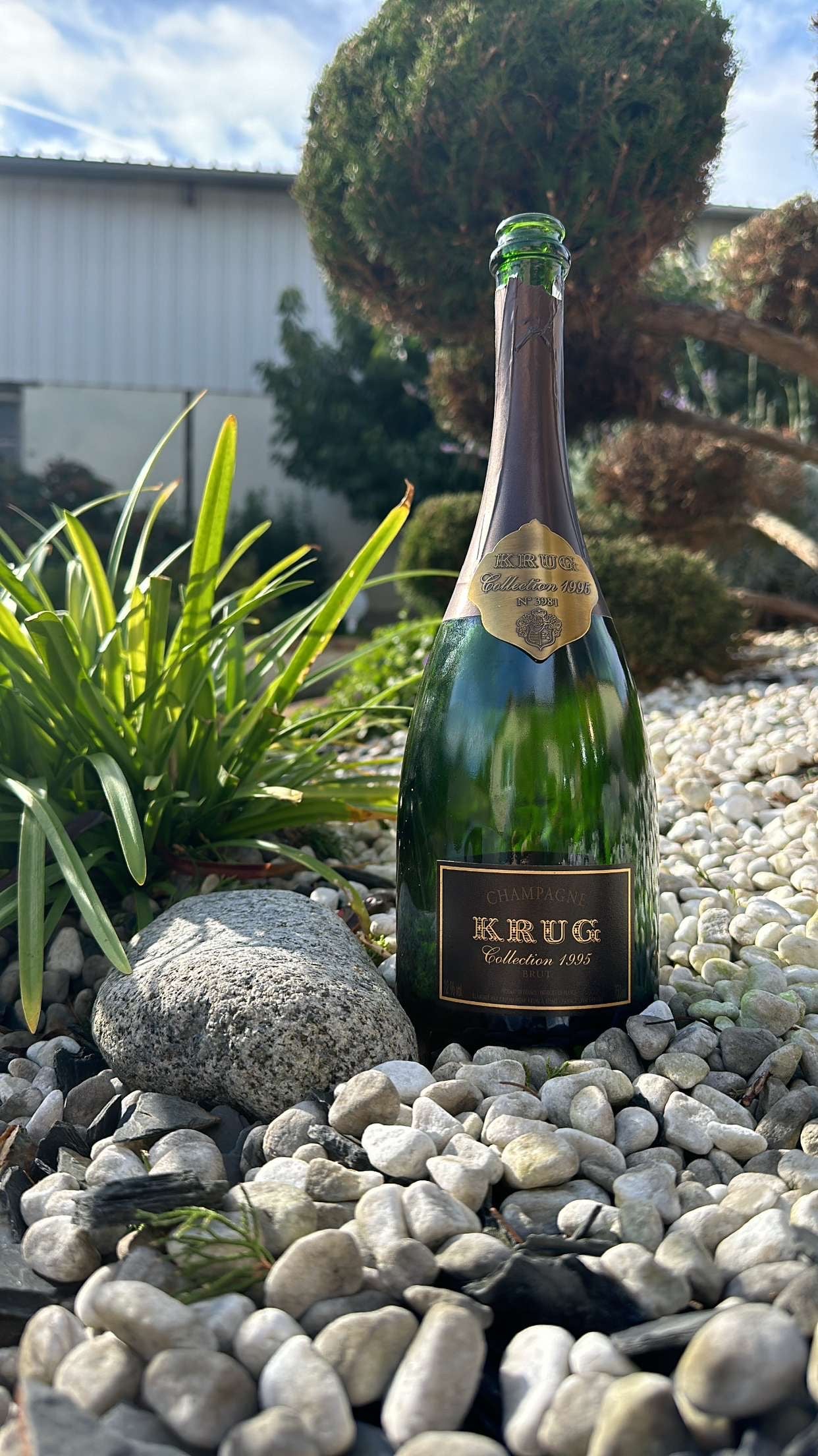 Cadre Krug " Collection 1995 "